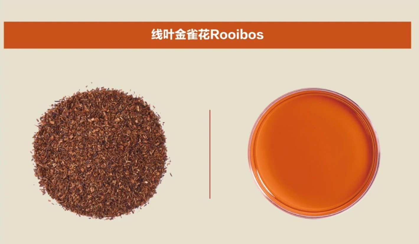 资讯 | 品质重塑·迭代新生-路易博士茶原料体系3.0