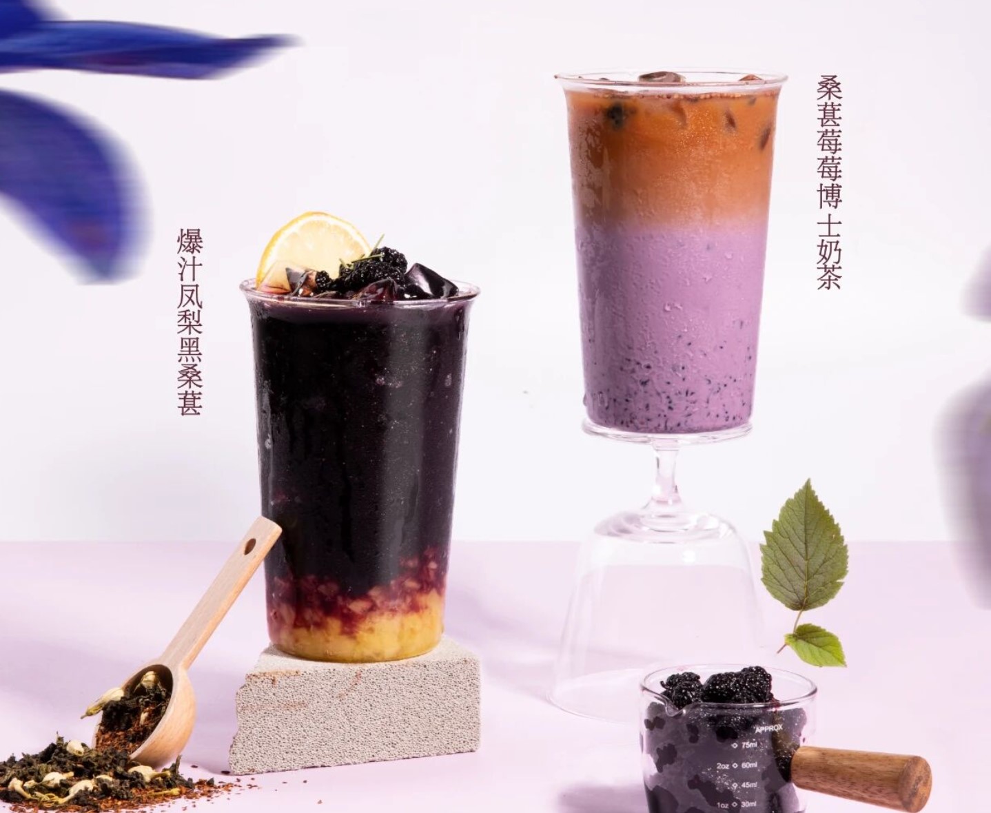应用 | 满满花青素，解锁桑葚与博士茶的巧妙组合
